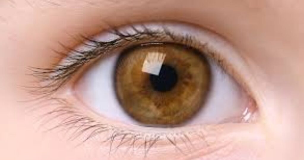 Brown Eye Captions For Instagram