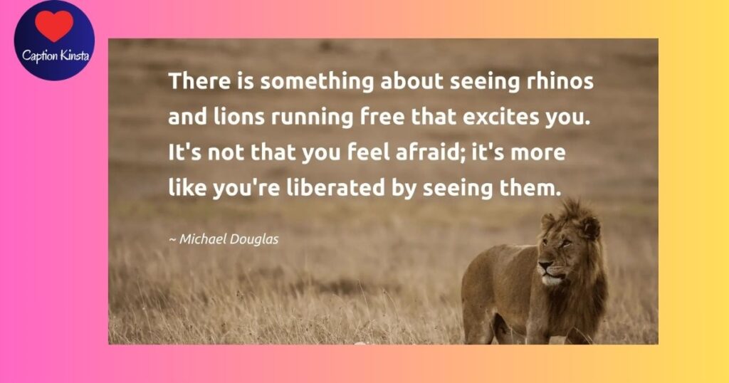 Lion Quotes About Discipline