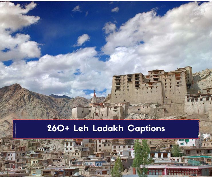 260+ Leh Ladakh Captions