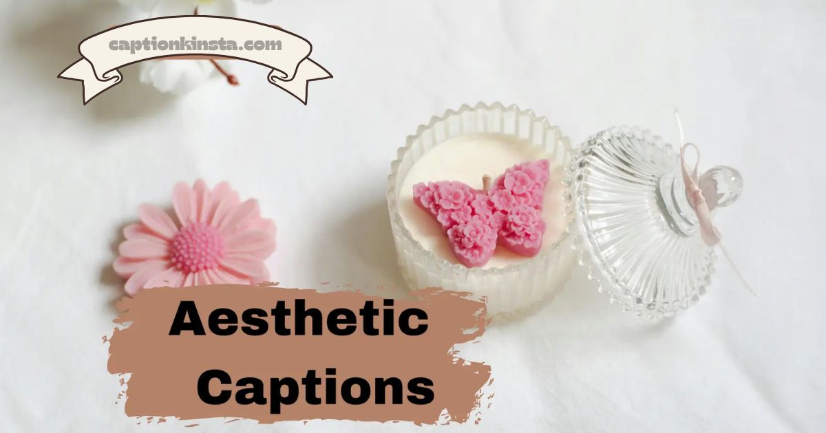 250+ Aesthetic Captions For Instagram