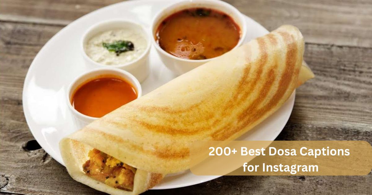 200+ Best Dosa Captions for Instagram: Fun Foodie Captions