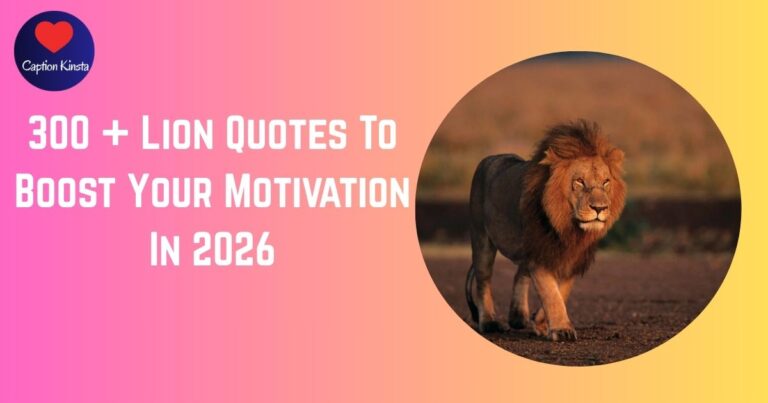 300 + Lion Quotes To Boost Your Motivation In 2026