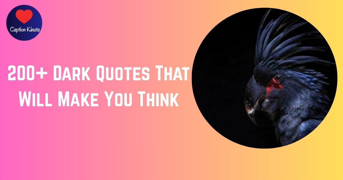 200+ Dark Quotes That Will Make You Think
