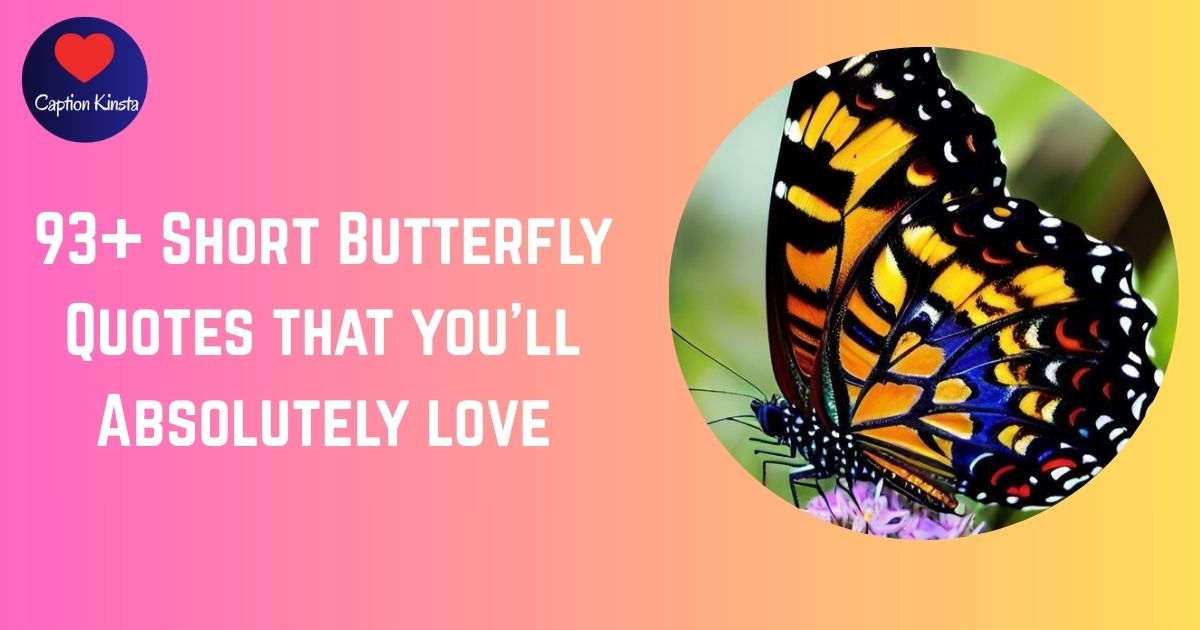 93+ Short Butterfly Quotes that you'll Absolutely love