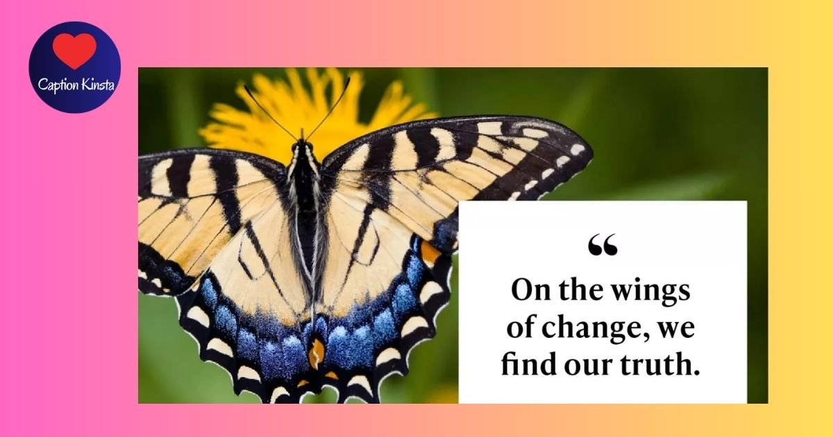93+ Short Butterfly Quotes that you'll absolutely love